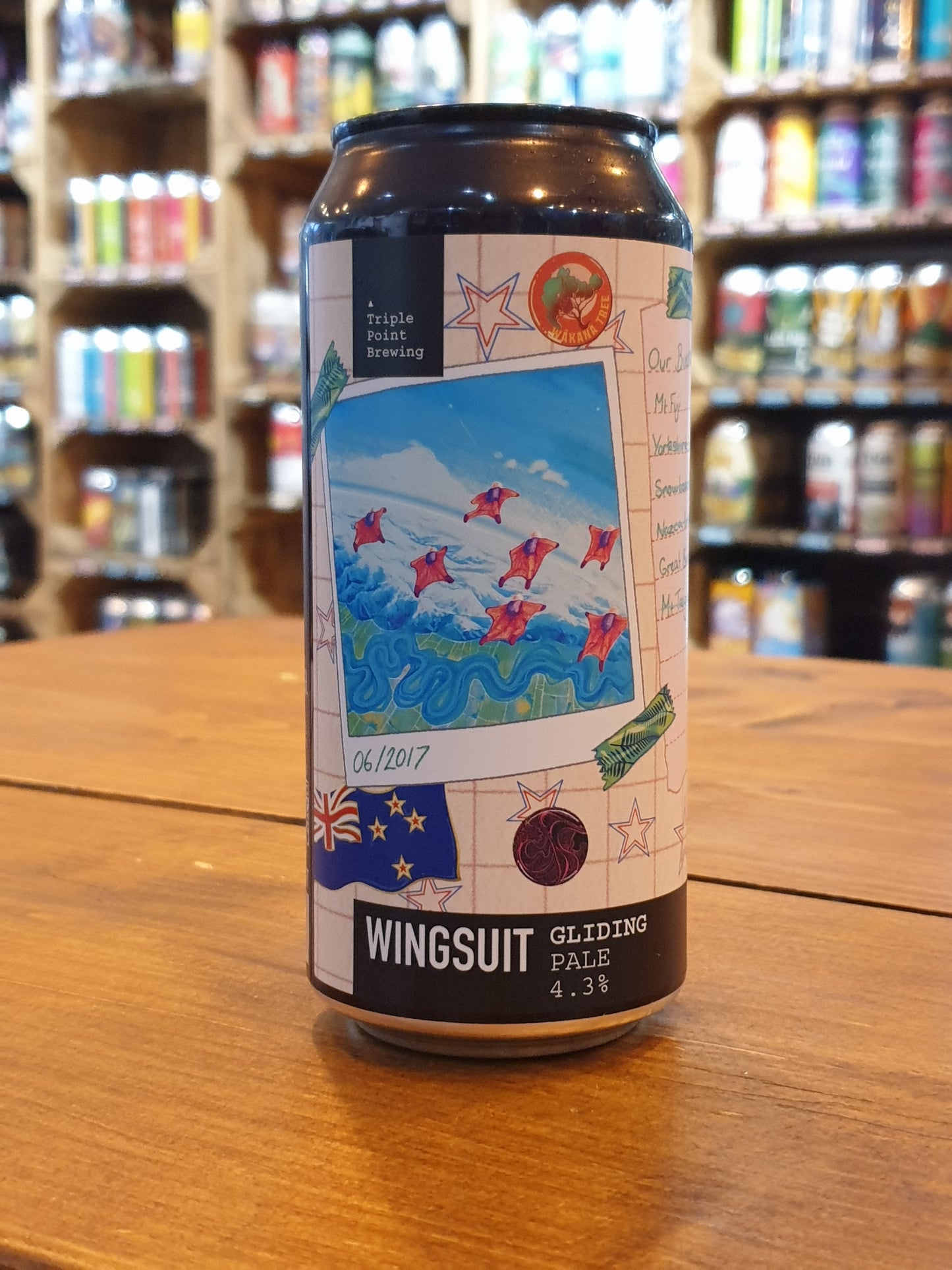 Triple Point - Wingsuit