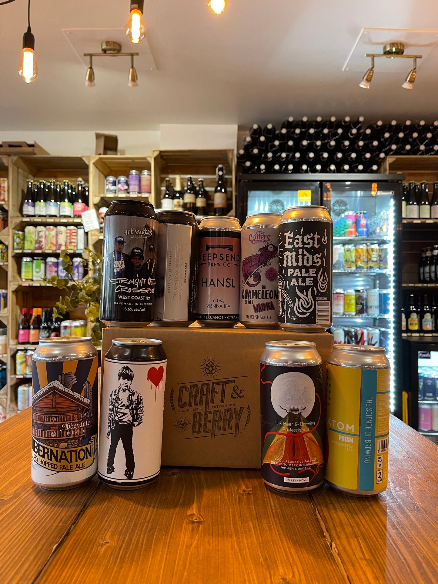 Craft Beer Mystery 9 Pack - Pale/IPA