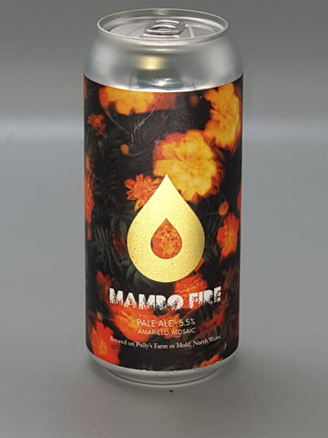 Polly's Brew Co. -  Mambo Fire