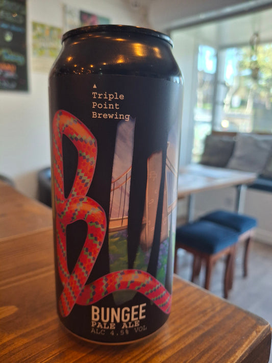 Triple Point Brewing - Bungee