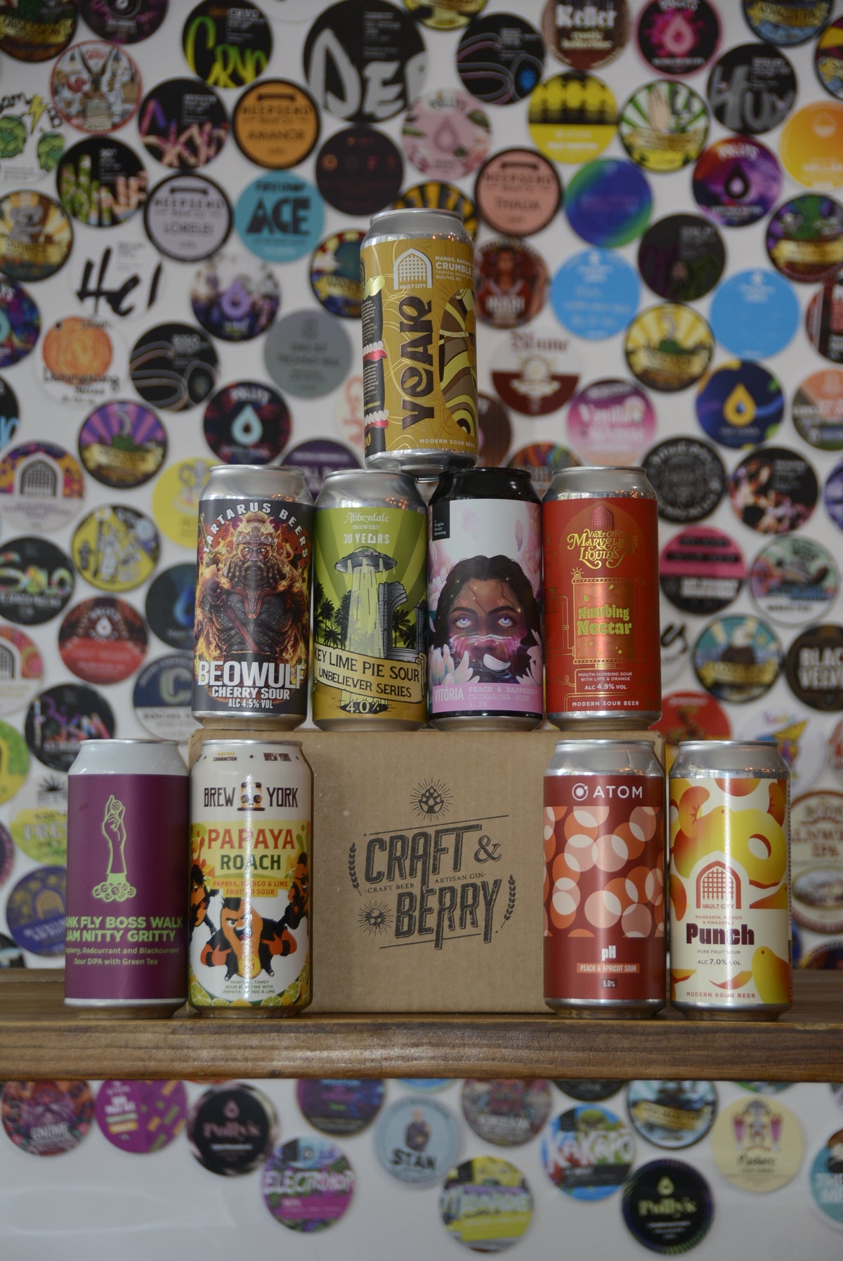 Craft Beer Mystery 9 Pack - Sour