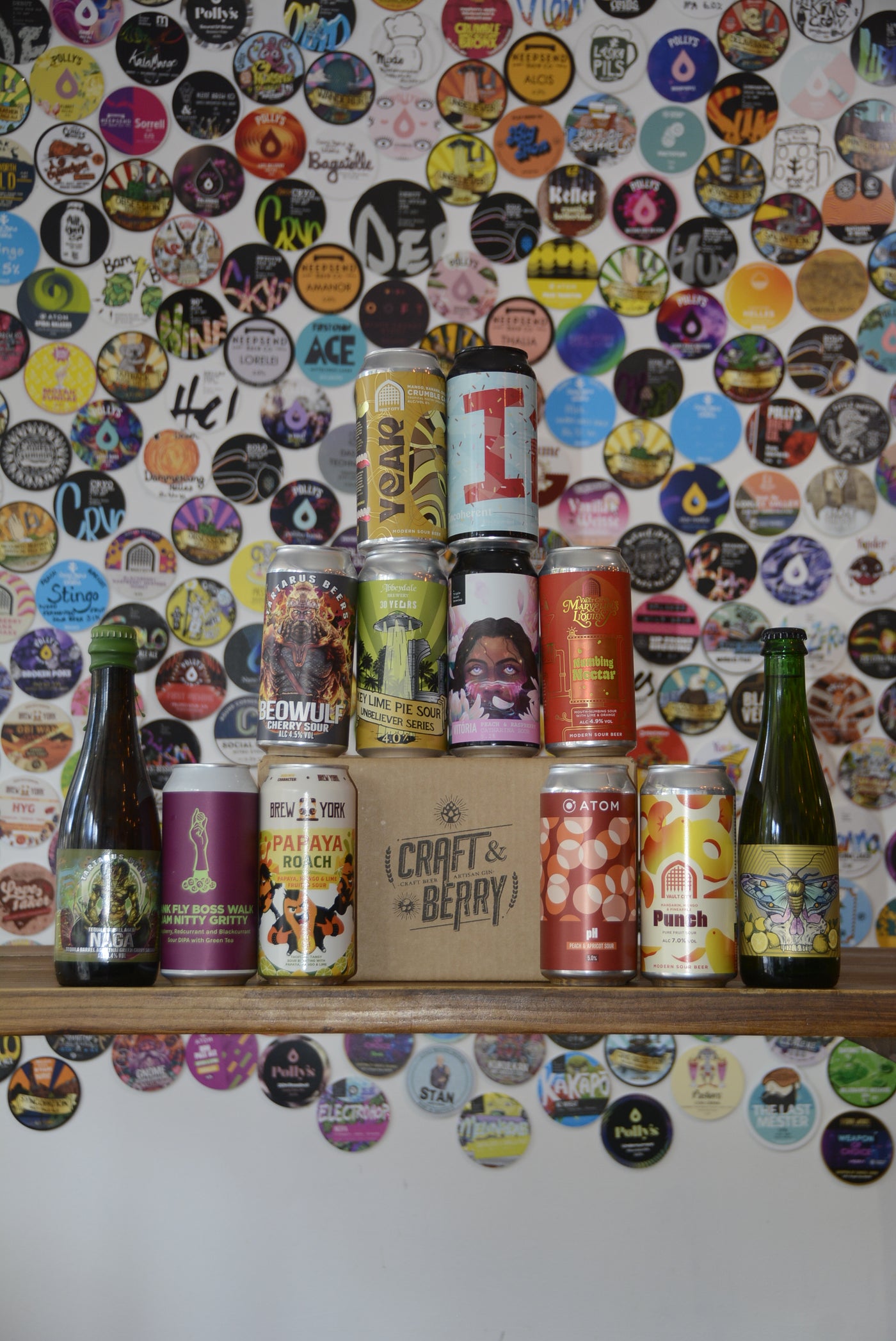 Craft Beer Mystery 12 Pack - Sour