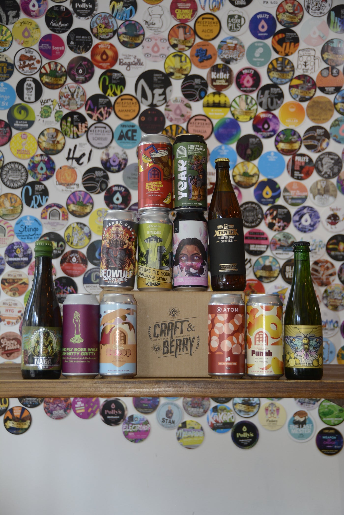 Craft Beer Big Mystery 12 Pack - Sour