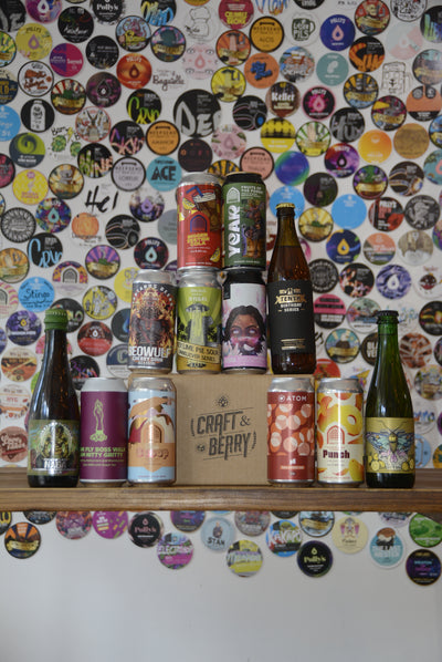 Craft Beer Big Mystery 12 Pack - Sour