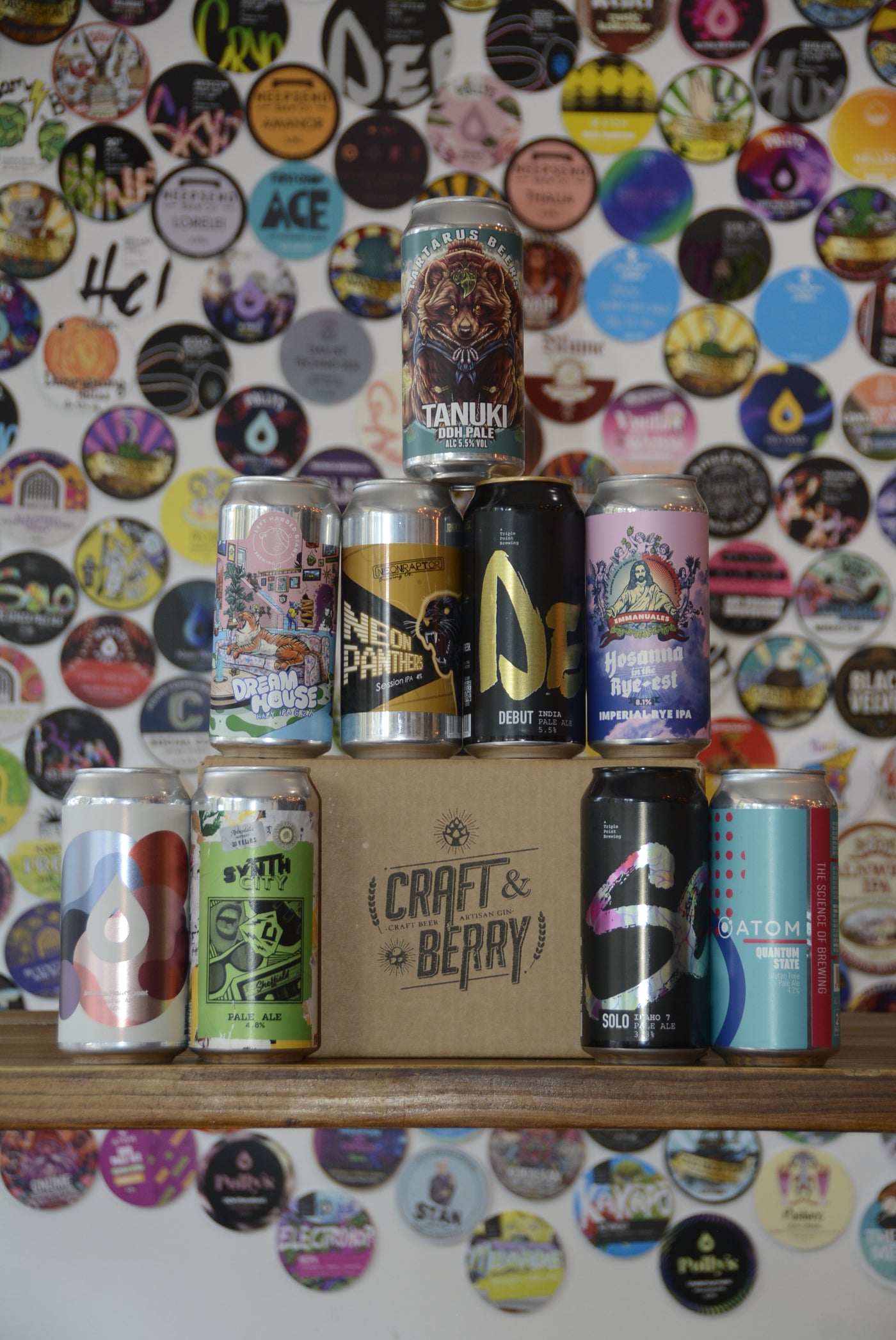 Craft Beer Mystery 9 Pack - Pale/IPA