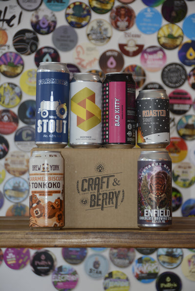 Craft Beer Big Mystery 6 Pack - Dark/Stout/Porter