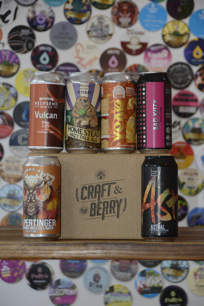 Craft Beer Big Mystery 6 Pack - Mixed
