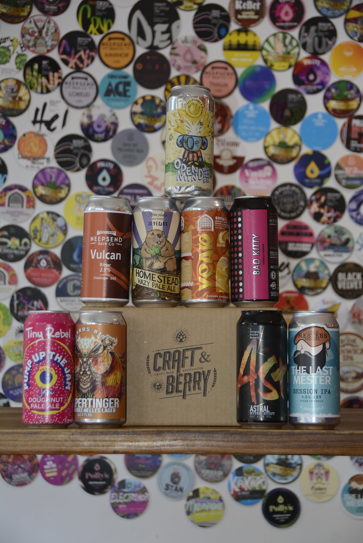 Craft Beer Mystery 9 Pack - Mixed