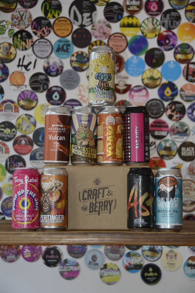 Craft Beer Mystery 9 Pack - Mixed