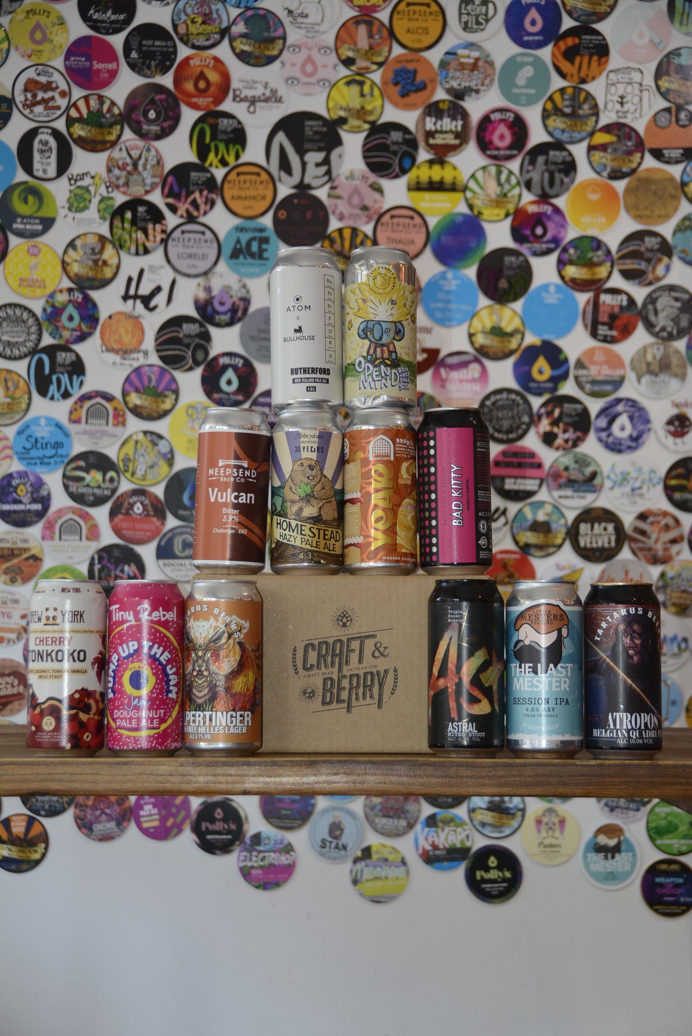 Craft Beer Mystery 12 Pack - Mixed