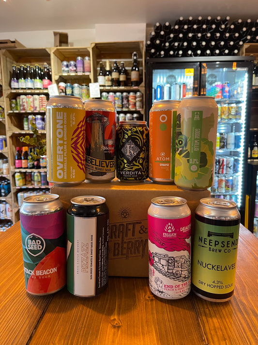 Craft Beer Mystery 9 Pack - Sour