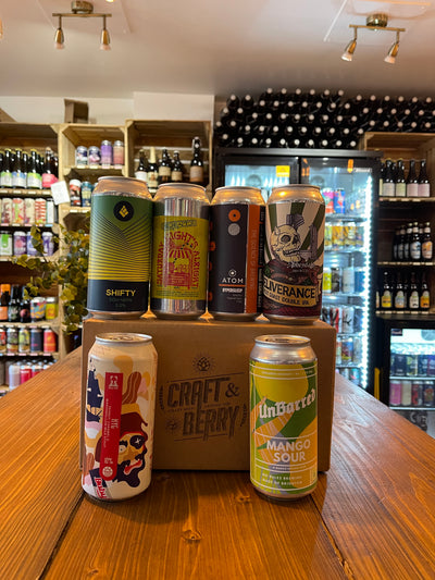 Craft Beer Big Mystery 6 Pack - Mixed