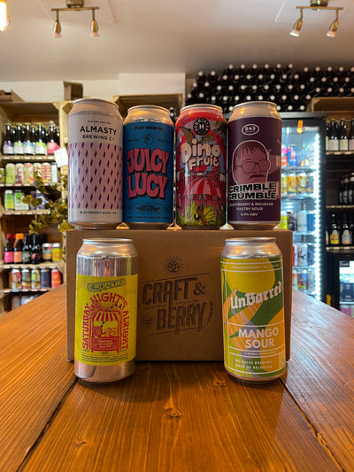 Craft Beer Big Mystery 6 Pack - Sour